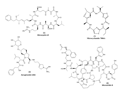 Examples of three different chemical structures of cyanobacterial natural products