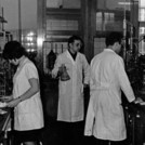 Organic chemistry laboratory, ca. 1968