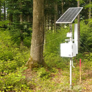Foto: CRNS sensor with solar panel in the forest | Foto: Cosmic Sense consortium
