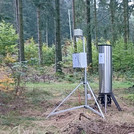 Foto: Three different CRNS probes in the forest at Wüstebach | Foto: Cosmic Sense consortium