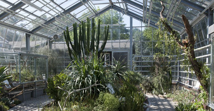 Sukkulentenhaus im Botanischen Garten