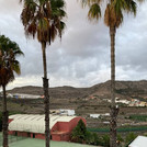 Foto der Schule in Gran Canaria mit Palmen