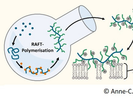Grafische Darstellung von Synthese antimikrobieller Polymere