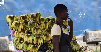 Eine Frau verkauft Bananen auf einem Markt. Foto: Valerie Pobloth.