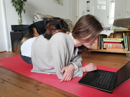 Frau mit Laptop vor sich auf Yogamatte mit Hund auf dem Rücken