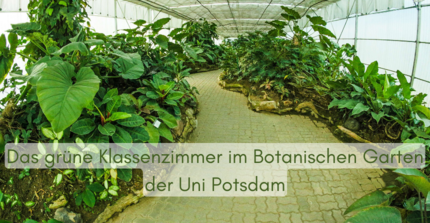 Text (grün auf weiß-transparenten Grund): "Das grüne Klassenzimmer im Botanischen Garten der Uni Potsdam". Hintergrund: Gewächshaus mit Pflanzen