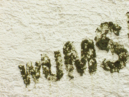 Moos-Graffiti, Bündnis 90/Die Grünen Baden-Württemberg, 2009