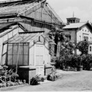 Greenhouse and the botany building of the College of Education, 1960s