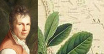 Portraits von Humboldt und Bonpland
