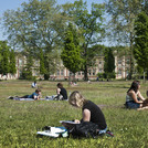 Campus meadow, 2011