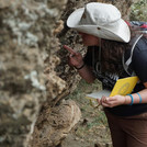 Eine Masterstudentin untersucht einen Lavastrom am Eingang des Hells Gate Nationalparkes.
