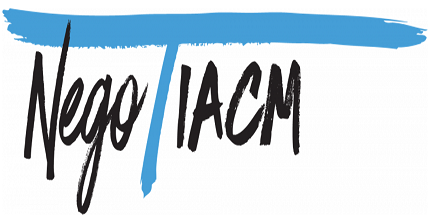 Der Lehrstuhl wird mit zwei Beiträgen auf der IACM 2017 vertreten sein!
