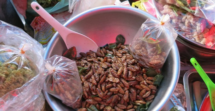 Freshly fried insects