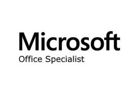 Schriftzug Microsoft Office Spezialist