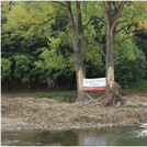 Ahrweiler – Walporzheim, 11/10/2021: Sign on trees marked by the flood: "We AHR familiy: Danke!"