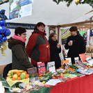 Weihnachtsmarkt im Innenhof am Campus Neues Palais