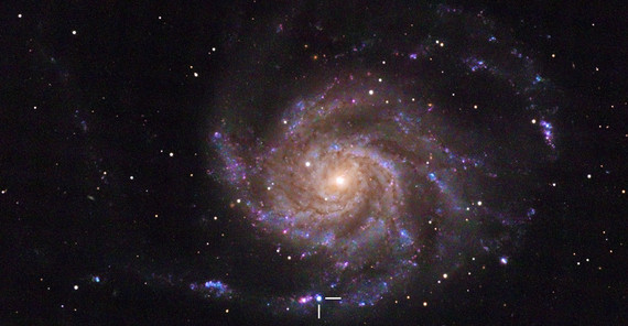Supernova SN2023ixf in der Feuerradgalaxie M101.