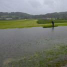 Foto: Flooded meadow and a scientist in rubberboots, looking at a pink pole. A village and forest in the background | Foto: Cosmic Sense consortium