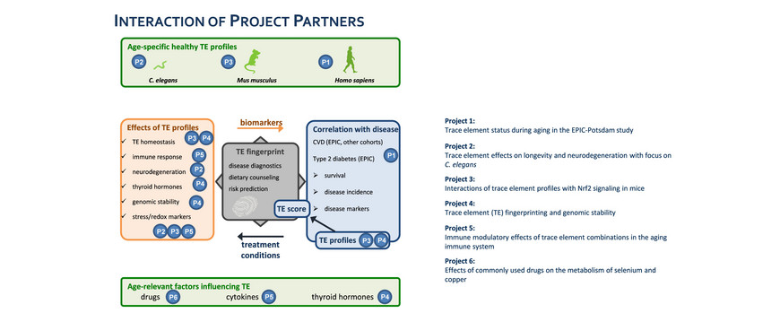 Overview of Project Partners