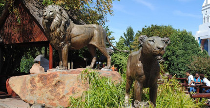 Löwenstatuen im Vanderbijlpark. Foto: Arne Peters