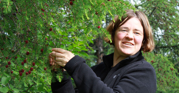 Ulrike Herzschuh in a Russian larch forest.