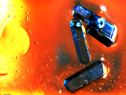 Einkristalle einer Nickel-Komplex-Verbindung (die 3 dunkelblau bis lila Kristalle liegen in einer gelb bis roten Flüssigkeit)