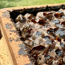 Stingless Bee Farm: Eine Wabe des Bienenstocks, aus dem wir direkt den Honig probieren