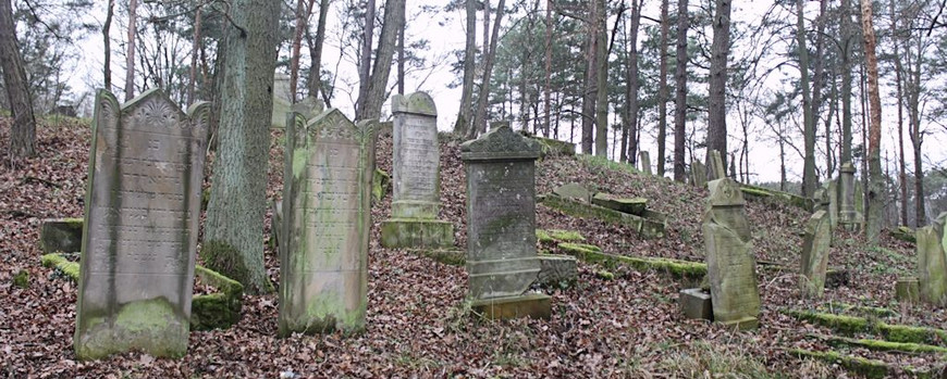 Reihengräber des Jüdischen Friedhofs in Trzciel
