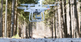 Drohne fliegt knapp über dem Waldboden. Das Foto ist von Jonas Zeidler.
