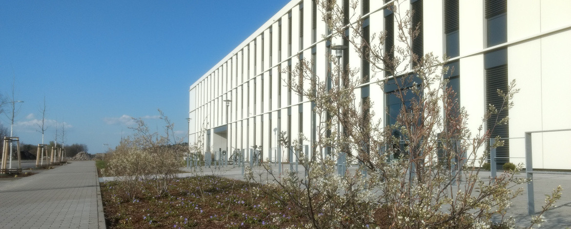 das Institutsgebäude im Frühling - 