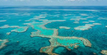 Luftaufnahme des Great Barrier Reef