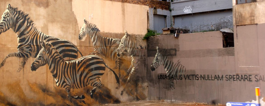 Zebra-Mural in Johannesburg. Foto: Diana Banmann