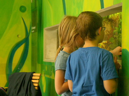 Kinder schauen in ein Aquarium