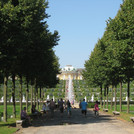 Sanssouci Palace and the surrounding Park Sanssouci