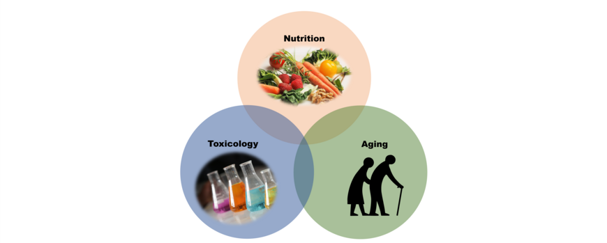 Nutrional Science, Toxicology, Aging