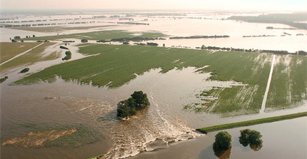 Überflutungshochwasser an der Elbe