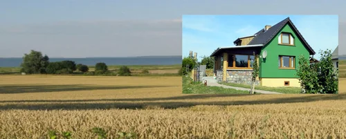 Feld, grünes Haus