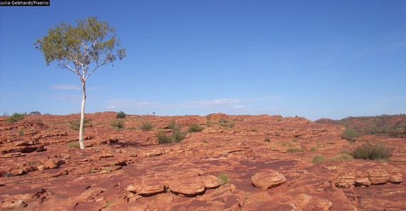 Das australische Outback. Foto: Julia Gebhardt/Pixelio