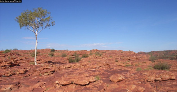 The Australian Outback. Picture: Julia Gebhardt/Pixelio