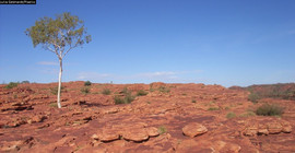 The Australian Outback. Picture: Julia Gebhardt/Pixelio