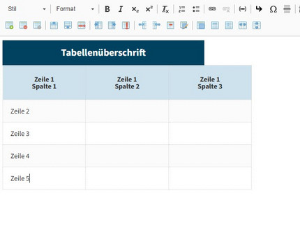 Beginnen Sie nun der Eingabe der Daten