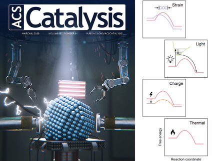 Cover of the publishing journal ACS Catalysis and influence of various external stimuli to free energy landscape of catalytic reaction.