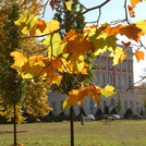 Campus Neues Palais im Herbst