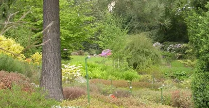 Heidegarten