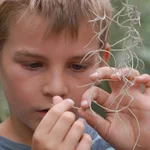 Ein Junge erkundet den Botanischen Garten