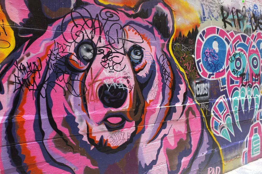 graffiti in Hosier Street, Melbourne