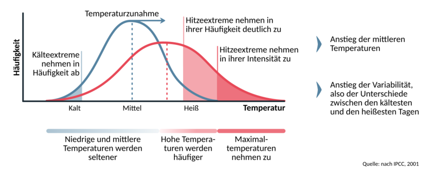 Infografik: Vergleich der Häufigkeit verschiedener Temperaturen (kalt, mittel, warm) bisher und mit zunehmender Klimaerwärmung. Kälteextreme werden seltener, Hitzeextreme werden häufiger und auch intensiver | Grafik: Lisa Angermann