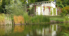 Im Hintergrund steht das Stibadium und davor von Schilf umgeben der Teich.