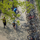 Bicycle parking at the Campus Am Neuen Palais