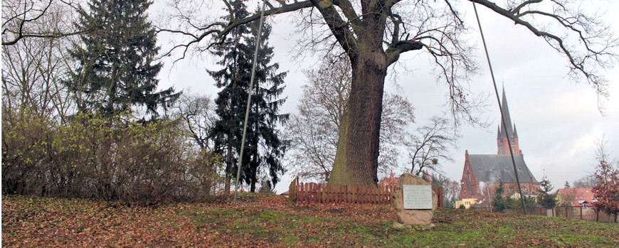 Gedenkstein Jüdischer Friedhof in Drezdenko